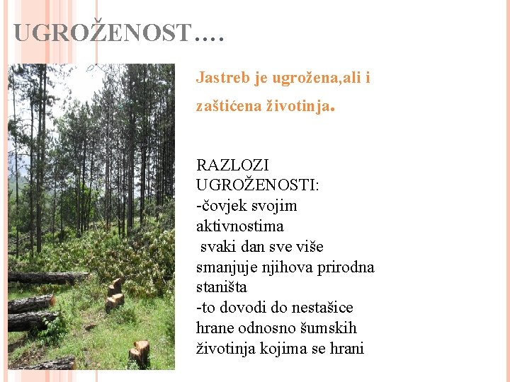 UGROŽENOST…. Jastreb je ugrožena, ali i zaštićena životinja. RAZLOZI UGROŽENOSTI: -čovjek svojim aktivnostima svaki