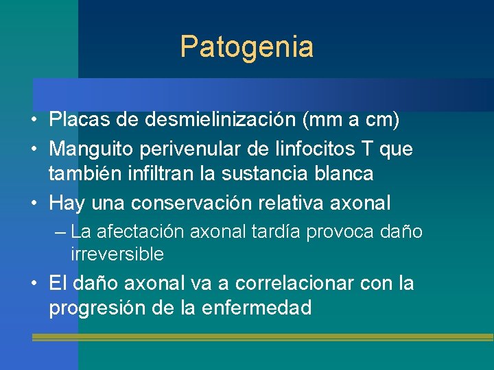 Patogenia • Placas de desmielinización (mm a cm) • Manguito perivenular de linfocitos T