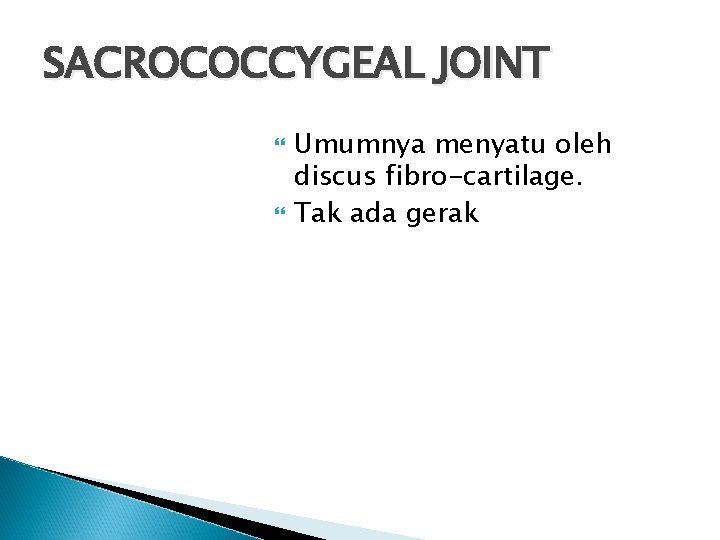 SACROCOCCYGEAL JOINT Umumnya menyatu oleh discus fibro-cartilage. Tak ada gerak 