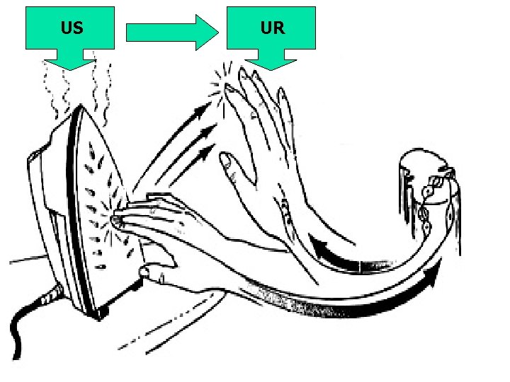 US UR 