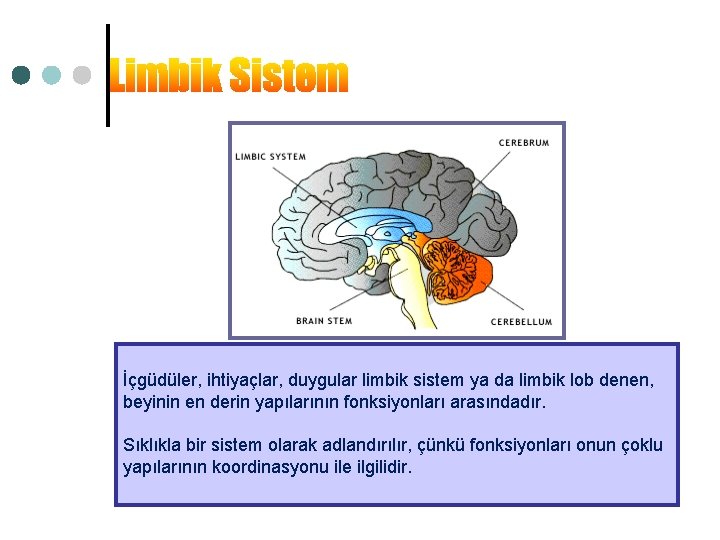 İçgüdüler, ihtiyaçlar, duygular limbik sistem ya da limbik lob denen, beyinin en derin yapılarının