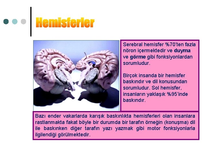 Serebral hemisfer %70’ten fazla nöron içermektedir ve duyma ve görme gibi fonksiyonlardan sorumludur. Birçok