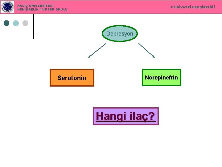 HALİÇ ÜNİVERSİTESİ HEMŞİRELİK YÜKSEK OKULU PSİKİYATRİ HEMŞİRELİĞİ Depresyon Serotonin Norepinefrin Hangi ilaç? 