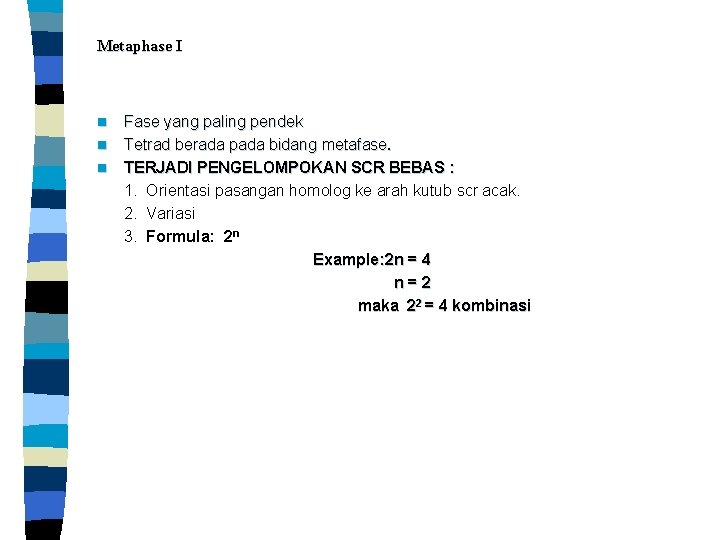 Metaphase I n n n Fase yang paling pendek Tetrad berada pada bidang metafase.