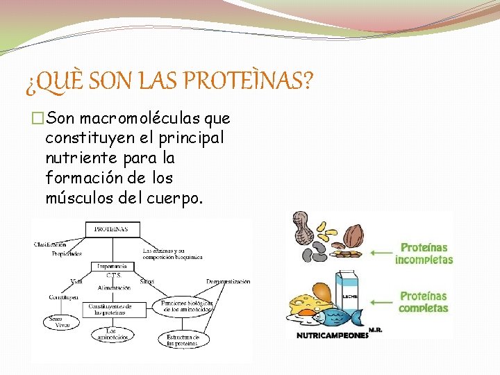 ¿QUÈ SON LAS PROTEÌNAS? �Son macromoléculas que constituyen el principal nutriente para la formación