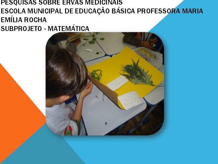 PESQUISAS SOBRE ERVAS MEDICINAIS ESCOLA MUNICIPAL DE EDUCAÇÃO BÁSICA PROFESSORA MARIA EMÍLIA ROCHA SUBPROJETO