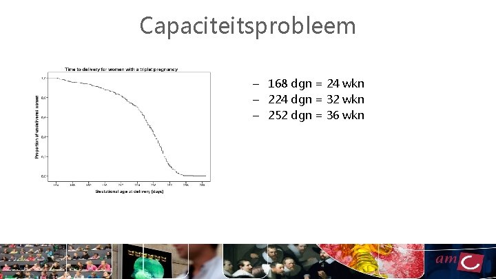 Capaciteitsprobleem – 168 dgn = 24 wkn – 224 dgn = 32 wkn –