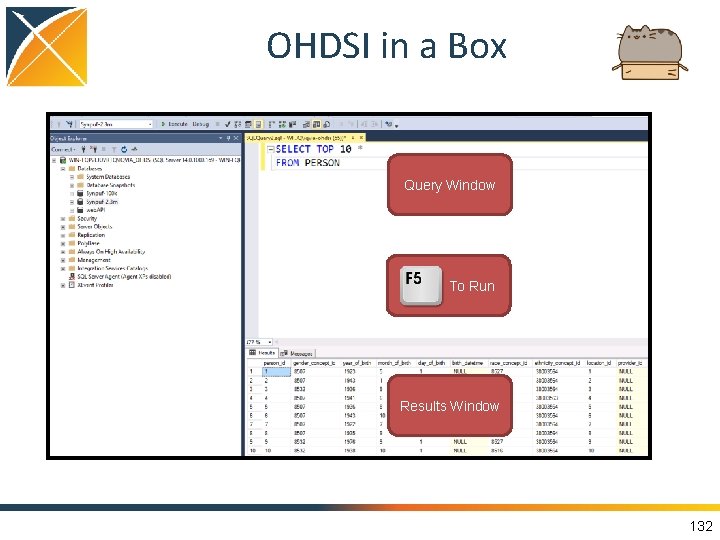 OHDSI in a Box Query Window To Run Results Window 132 