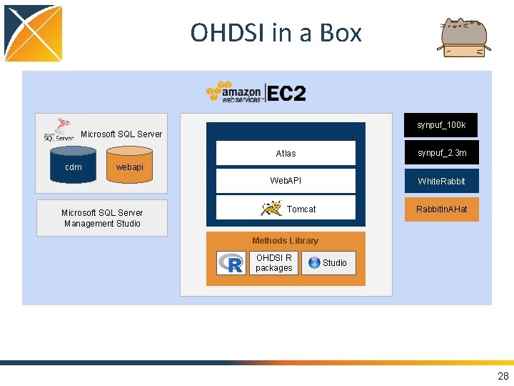 OHDSI in a Box synpuf_100 k Microsoft SQL Server cdm webapi Microsoft SQL Server