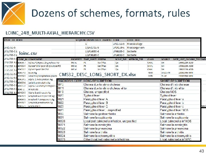 Dozens of schemes, formats, rules LOINC_248_MULTI-AXIAL_HIERARCHY. CSV loinc. csv CMS 32_DESC_LONG_SHORT_DX. xlsx 43 