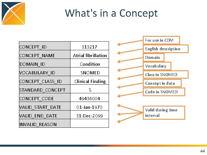 What's in a Concept For use in CDM CONCEPT_ID CONCEPT_NAME 313217 Atrial fibrillation English