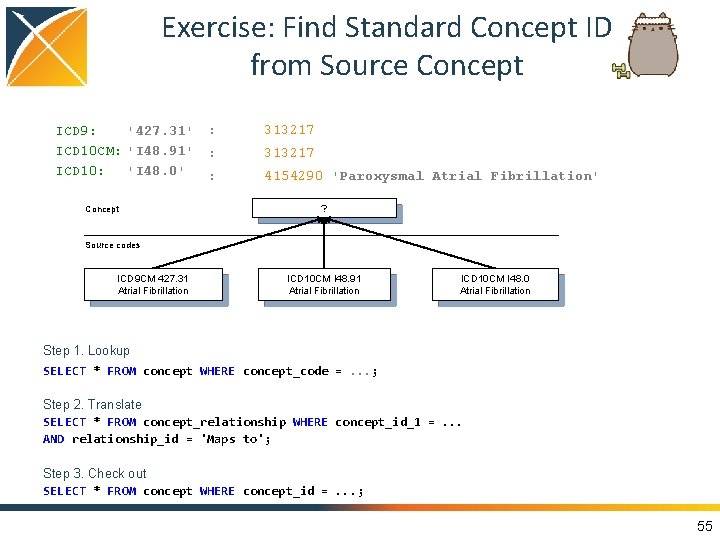 Exercise: Find Standard Concept ID from Source Concept ICD 9: '427. 31' ICD 10