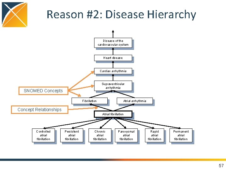 Reason #2: Disease Hierarchy Disease of the cardiovascular system Heart disease Cardiac arrhythmia Supraventricular