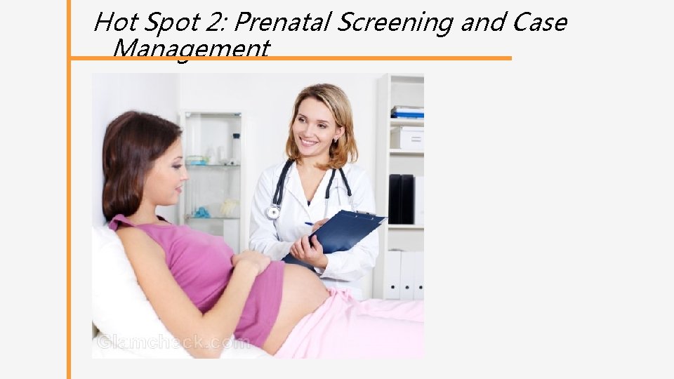 Hot Spot 2: Prenatal Screening and Case Management 