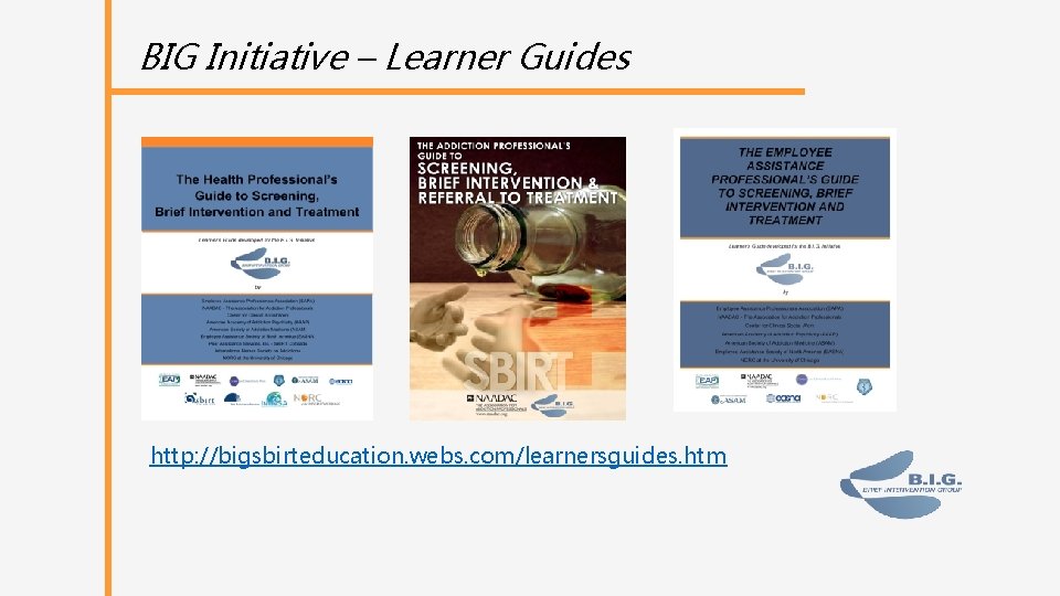 BIG Initiative – Learner Guides http: //bigsbirteducation. webs. com/learnersguides. htm 