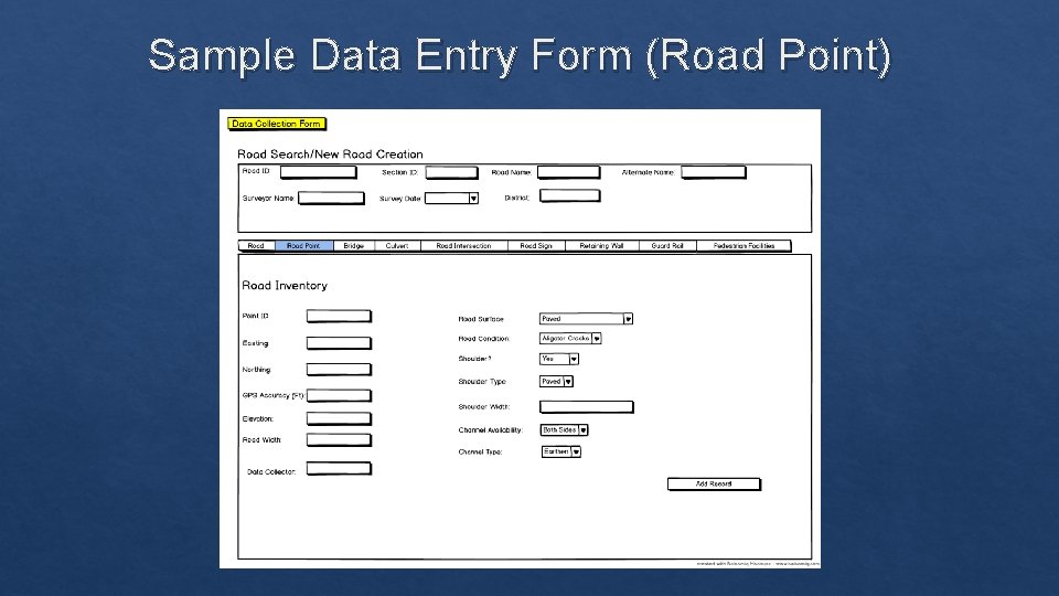 Sample Data Entry Form (Road Point) 