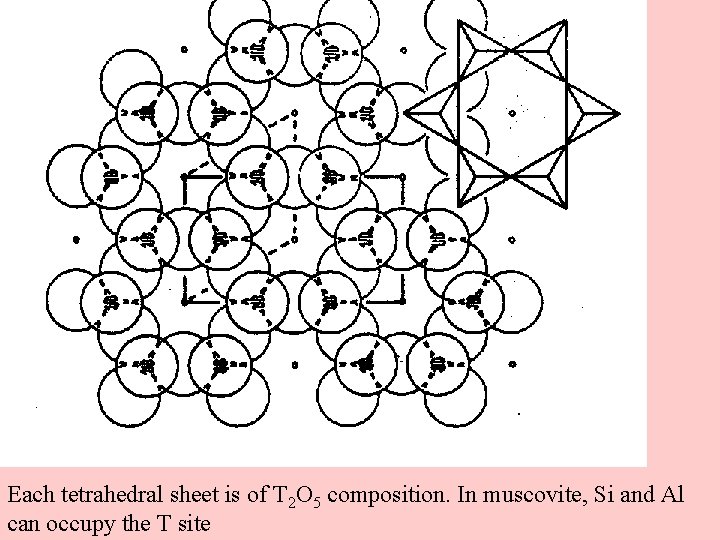 Each tetrahedral sheet is of T 2 O 5 composition. In muscovite, Si and