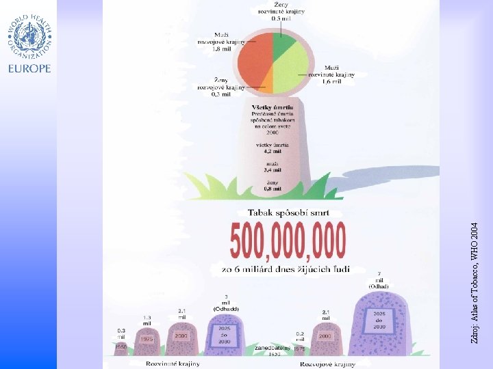 Zdroj: Atlas of Tobacco, WHO 2004 Child and Adolescent Health and Development 