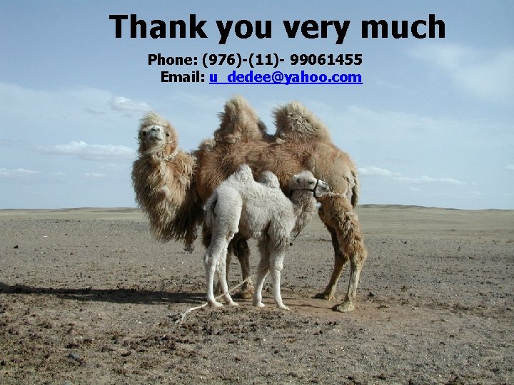 Thank you very much Phone: (976)-(11)- 99061455 Email: u_dedee@yahoo. com 