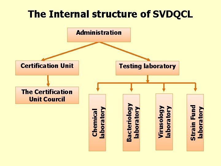 The Internal structure of SVDQCL Administration Certification Unit Testing laboratory Strain Fund laboratory Virusology