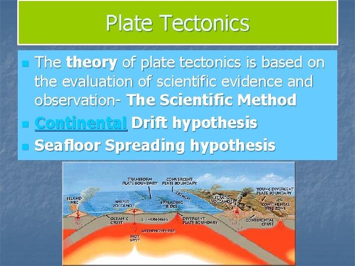 Plate Tectonics n n n The theory of plate tectonics is based on the