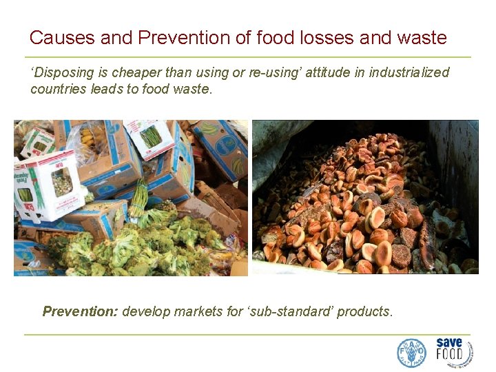 Causes and Prevention of food losses and waste ‘Disposing is cheaper than using or