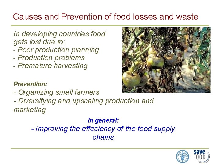 Causes and Prevention of food losses and waste In developing countries food gets lost