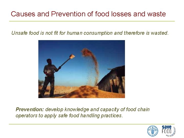 Causes and Prevention of food losses and waste Unsafe food is not fit for