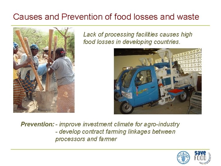 Causes and Prevention of food losses and waste Lack of processing facilities causes high