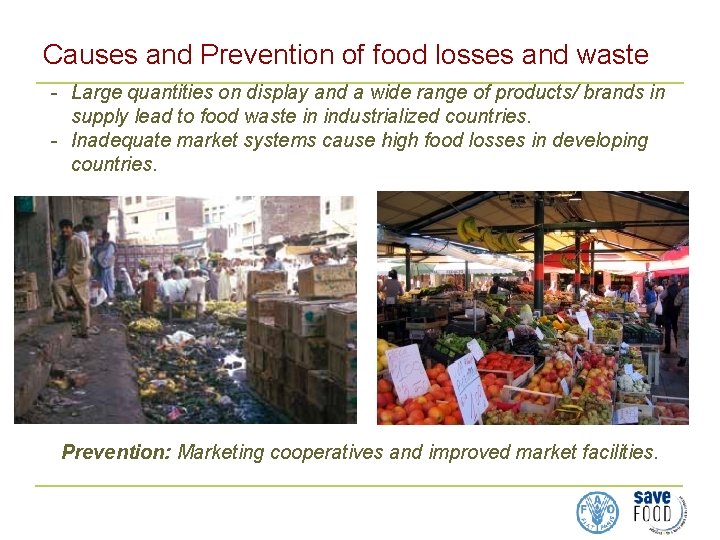 Causes and Prevention of food losses and waste - Large quantities on display and