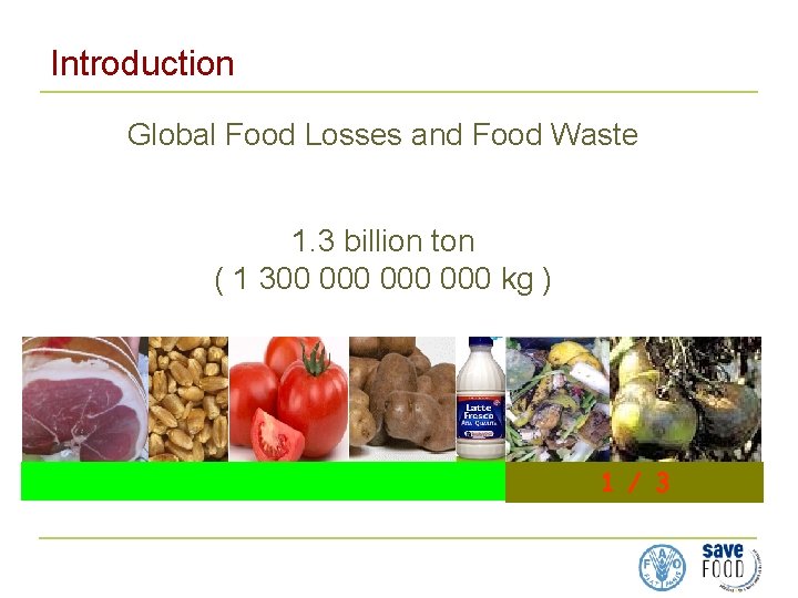 Introduction Global Food Losses and Food Waste 1. 3 billion ton ( 1 300
