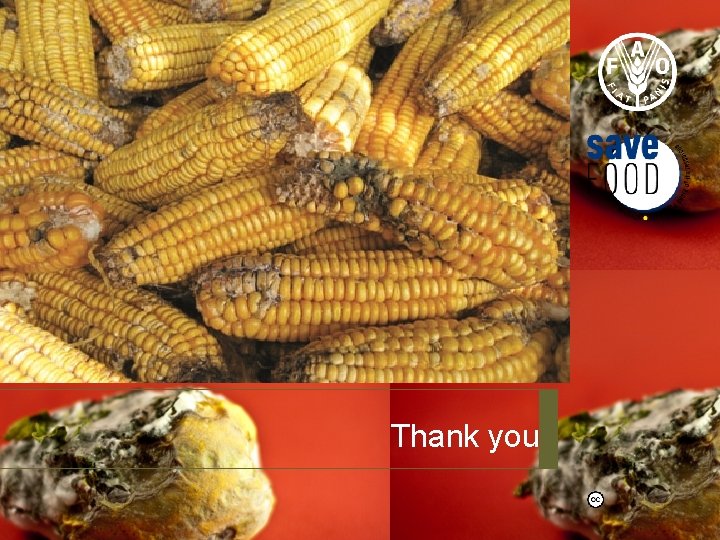 Thank you Thank you
