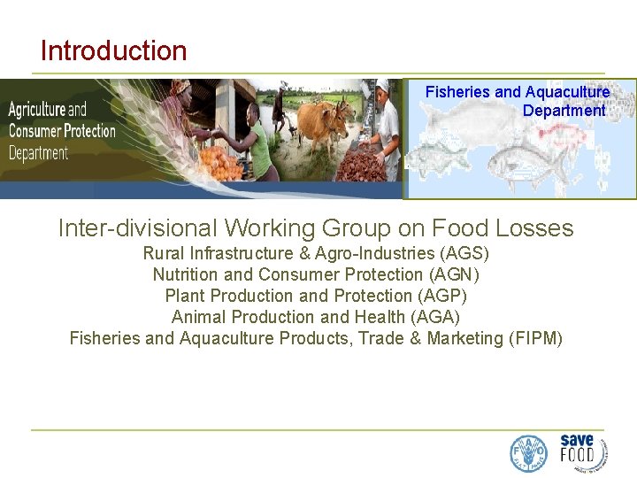 Introduction Fisheries and Aquaculture Department Inter-divisional Working Group on Food Losses Rural Infrastructure & Introduction Fisheries and Aquaculture Department Inter-divisional Working Group on Food Losses Rural Infrastructure &