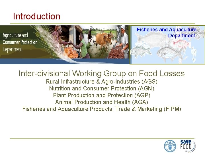 Introduction Fisheries and Aquaculture Department Inter-divisional Working Group on Food Losses Rural Infrastructure &