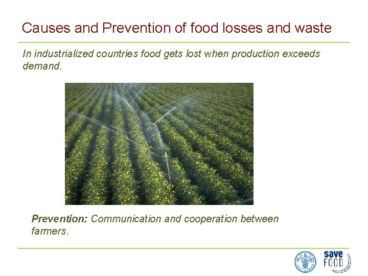 Causes and Prevention of food losses and waste In industrialized countries food gets lost