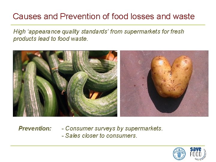 Causes and Prevention of food losses and waste High ‘appearance quality standards’ from supermarkets