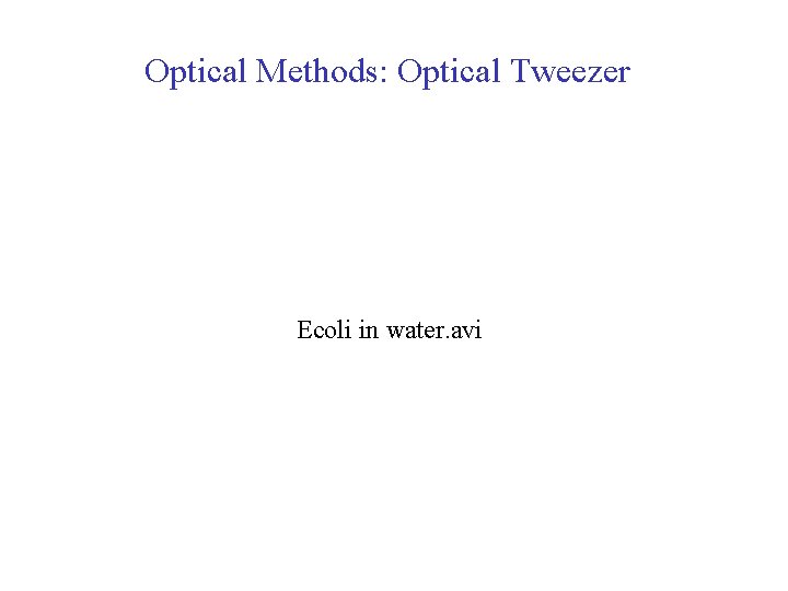 Optical Methods: Optical Tweezer Ecoli in water. avi 