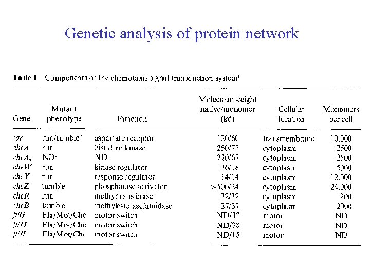 Genetic analysis of protein network 