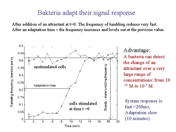 Bakteria adapt their signal response After addition of an attractant at t=0: The frequency