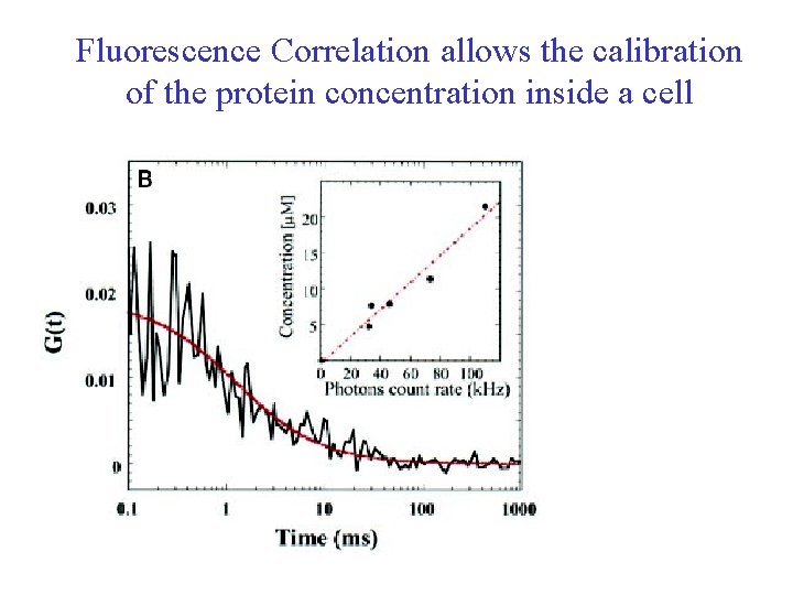 Fluorescence Correlation allows the calibration of the protein concentration inside a cell 