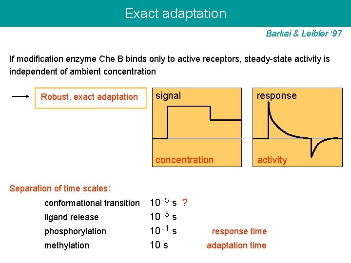 Exact adaptation Barkai & Leibler ‘ 97 If modification enzyme Che B binds only