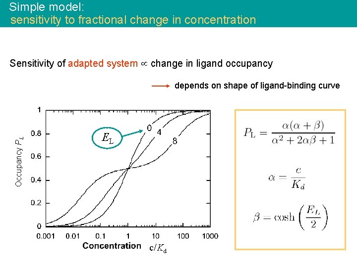 Simple model: sensitivity to fractional change in concentration Sensitivity of adapted system change in