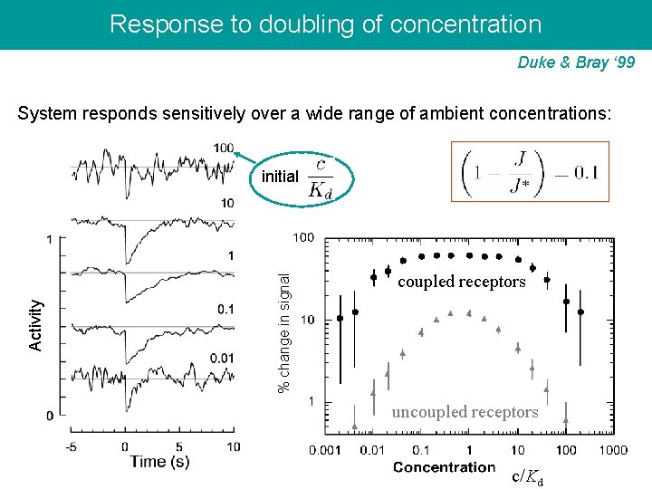Response to doubling of concentration Duke & Bray ‘ 99 System responds sensitively over
