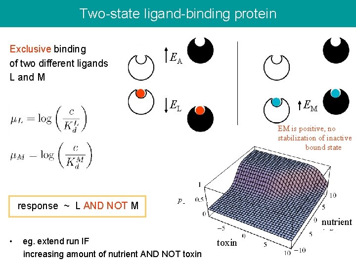Two-state ligand-binding protein Exclusive binding of two different ligands L and M EA EL