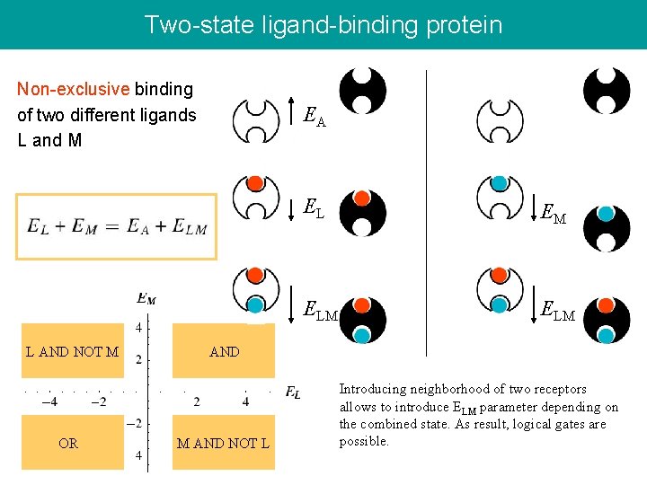 Two-state ligand-binding protein Non-exclusive binding of two different ligands L and M L AND