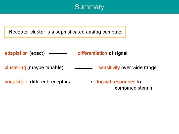 Summary Receptor cluster is a sophisticated analog computer adaptation (exact) differentiation of signal clustering