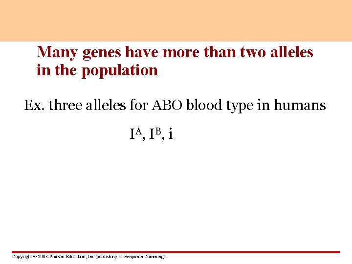 Many genes have more than two alleles in the population Ex. three alleles for