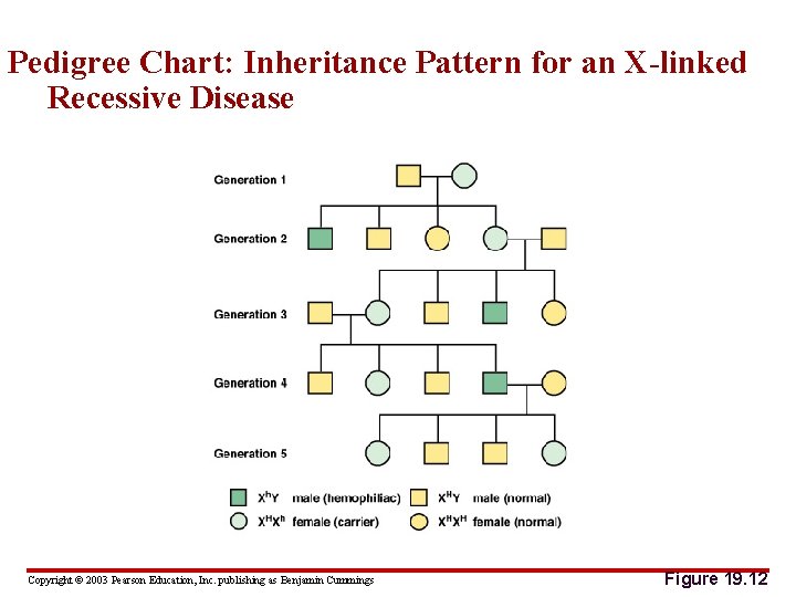 Pedigree Chart: Inheritance Pattern for an X-linked Recessive Disease Copyright © 2003 Pearson Education,