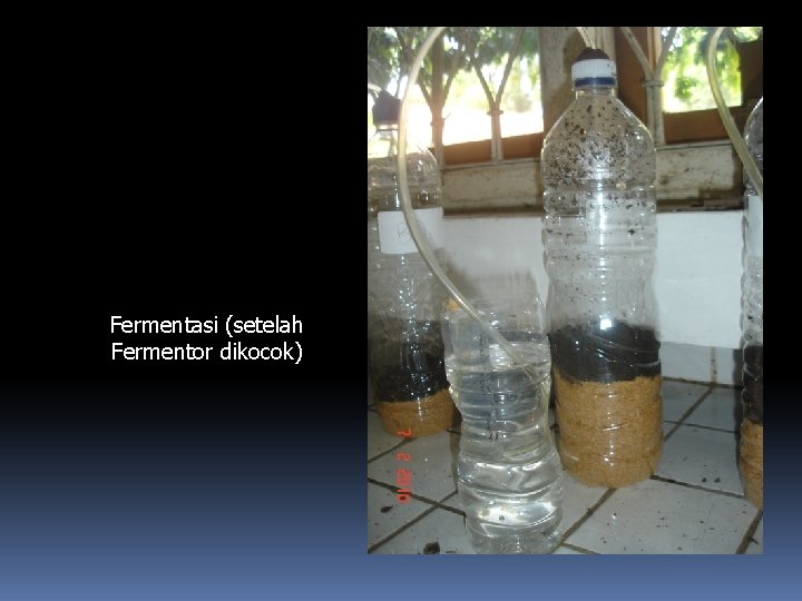 Fermentasi (setelah Fermentor dikocok) 