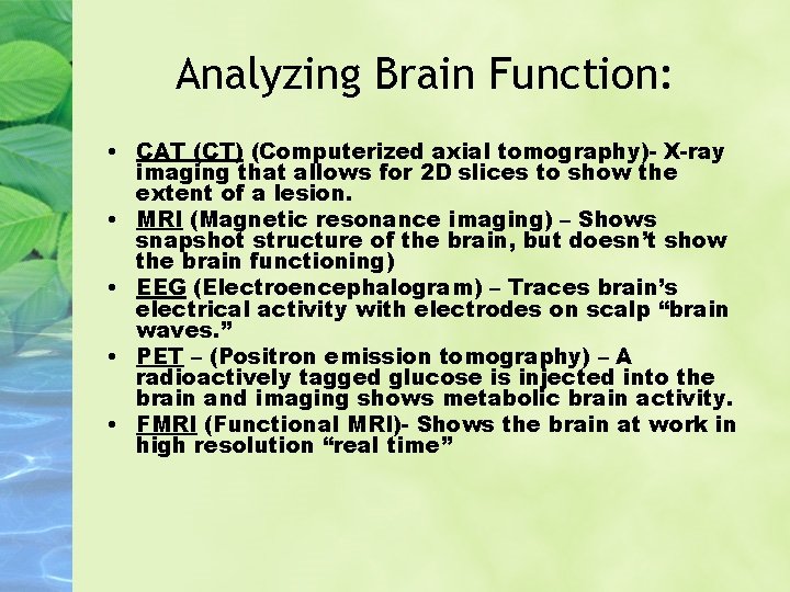 Analyzing Brain Function: • CAT (CT) (Computerized axial tomography)- X-ray imaging that allows for